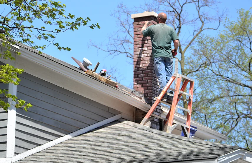 Chimney & Fireplace Inspections Services in Arbutus, MD